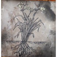 hem-art-tile-19_600px