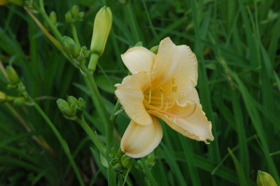 11-08a