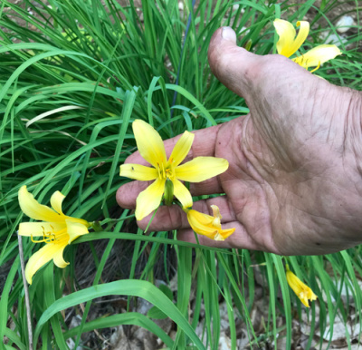 2-6-2018-hand-500px
