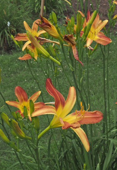 24-09_a-600px