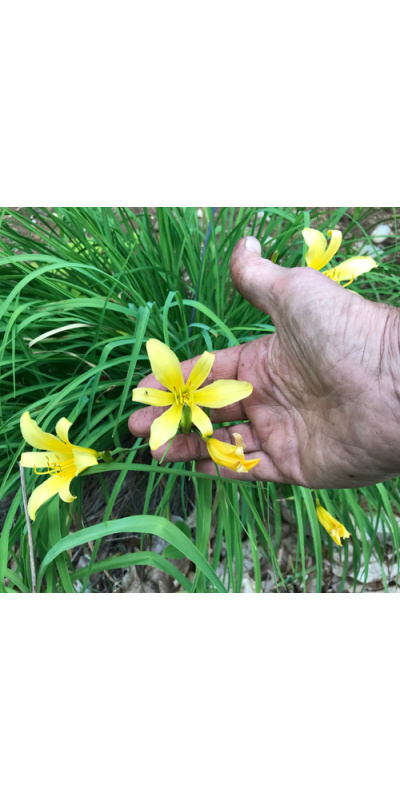 2-6-2018-hand-500px